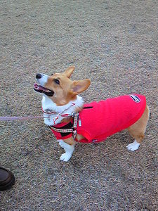 091230_135324.jpg