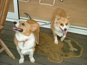 DSCF5622.JPG