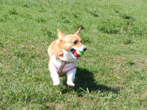 DSCN2764.JPG